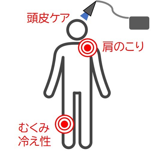 1.評価（初回のみ80分、２回目から50分）